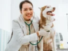 Vitaminas Lipossoluveis Hidrossoluveis para Pets 1