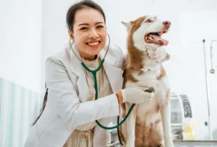 Suplemento Vetnil Hepvet para cães e gatos