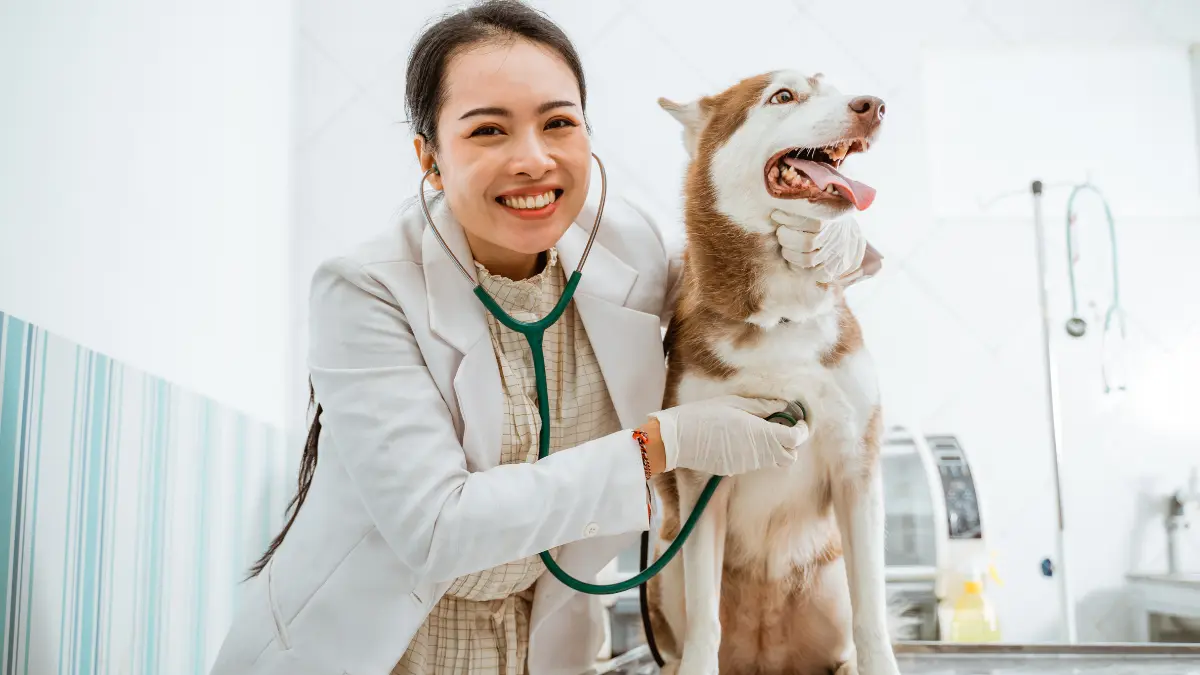 Vitaminas Lipossolúveis Hidrossolúveis para Pets: Guia Essencial 1 Vitaminas Lipossoluveis Hidrossoluveis para Pets 1