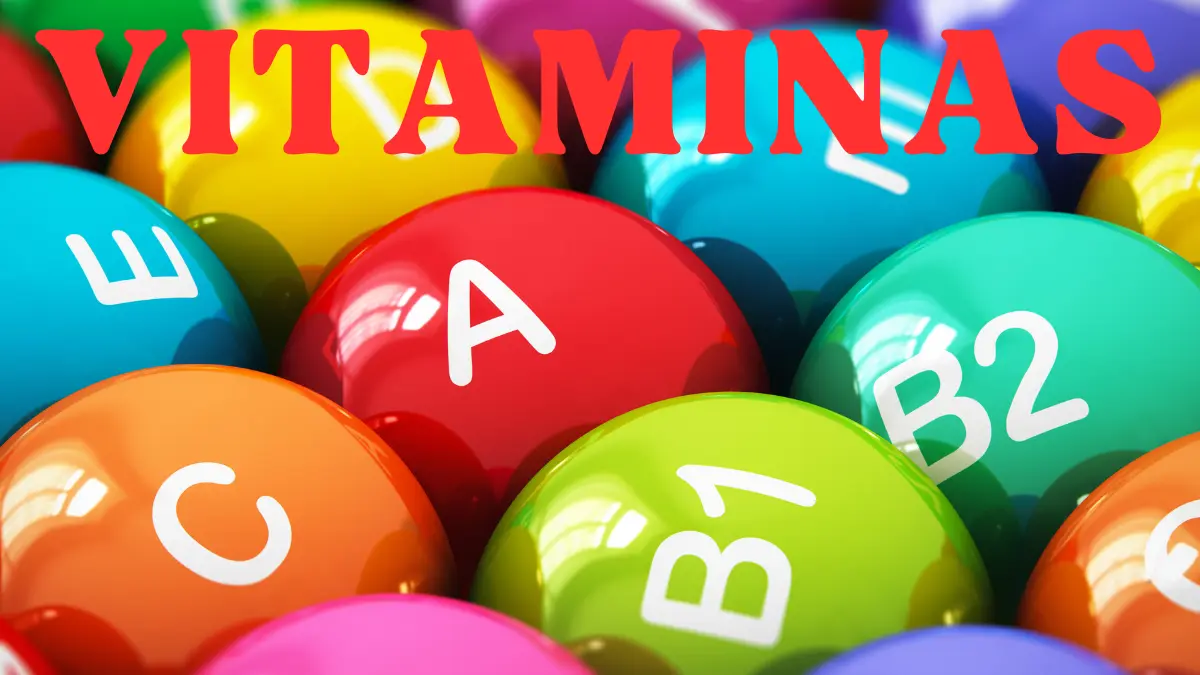 Vitaminas para filhotes de cão