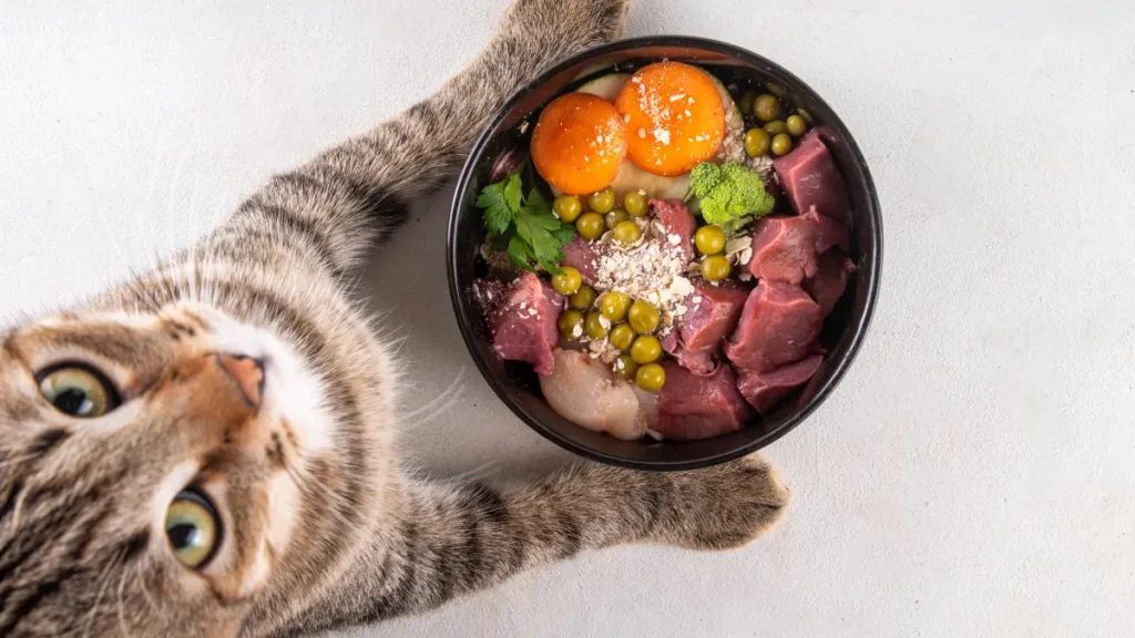 Cálcio para cães e gatos