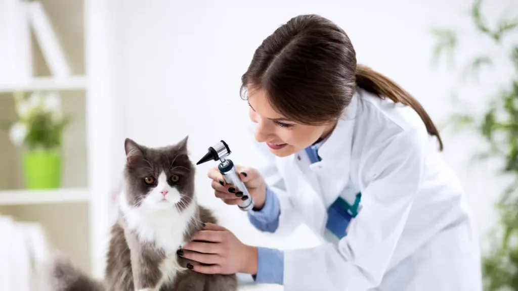 Como fortalecer a imunidade do pet naturalmente e de forma eficaz
