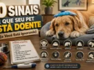 10 Sinais de Que Seu Pet Está Doente