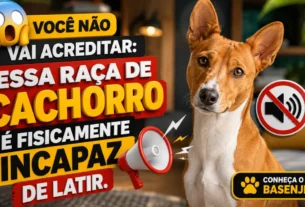 Basenji Não Late