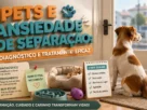 Pets e ansiedade de separação