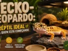 Gecko-Leopardo