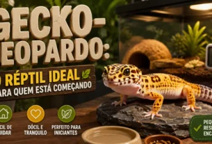 Gecko-Leopardo
