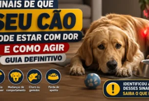 Sinais de que seu Cão Pode Estar com Dor