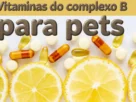 Vitaminas do complexo B para pets