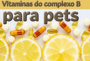 Vitaminas do complexo B para pets