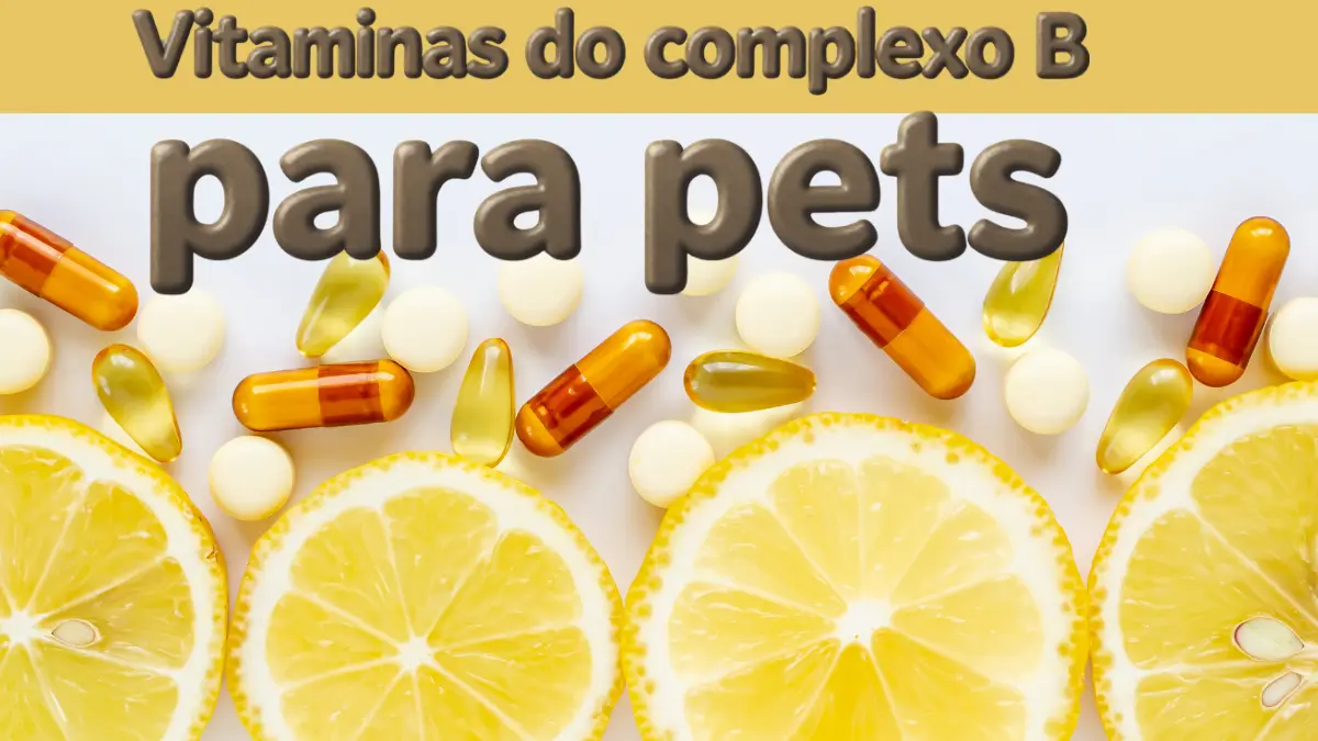 Vitaminas do complexo B para pets