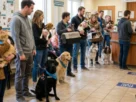 Calendário de Vacinação de Cães e Gatos